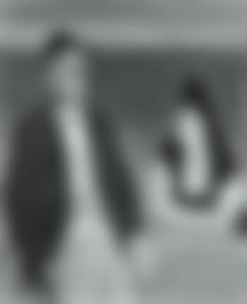 James Joyce et Madame Bloom (preview)
