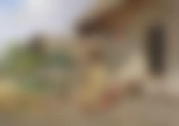 Figures and chickens in a farmyard. Young girl in a courtyard (preview)