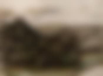 Stoumont (preview)