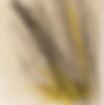 Sans titre (preview)