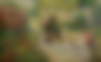 Table with tea and wine in the garden (preview)