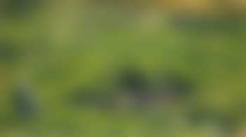 Apunte de paisaje (preview)