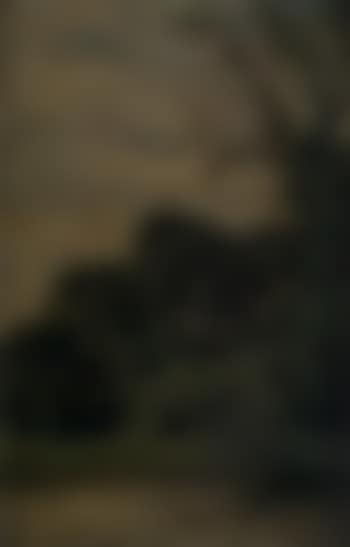 Landscape (preview)