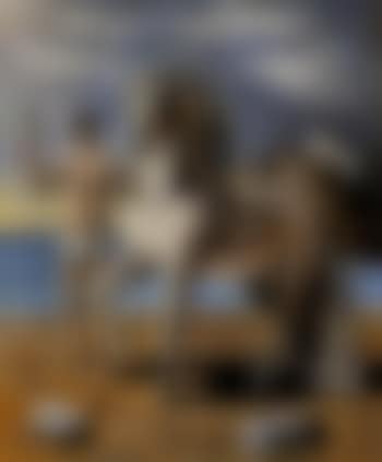 Cavallo con cavaliere in riva al mare (preview)