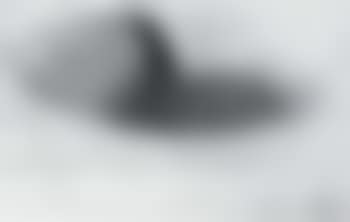 Pear (preview)
