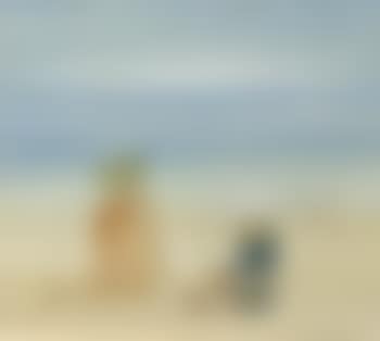 Children on the beach (preview)
