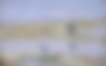 Beach scene (preview)