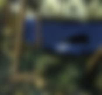 Jungle picture (preview)