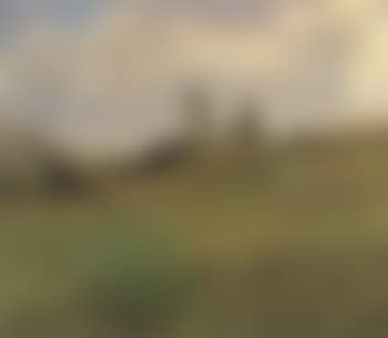 Field landscape with trees in background (preview)