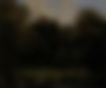 Dejeuner sur l'herbe (preview)