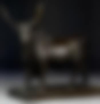Taureau Romain (preview)