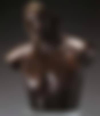 Torse d'homme (preview)