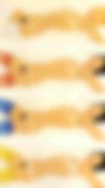 Open-ended nudes (preview)