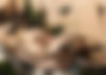Nu couche de dos (preview)