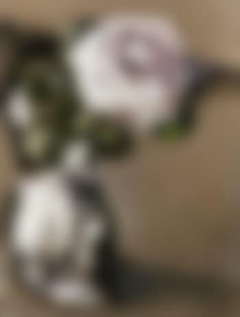 Rose (preview)