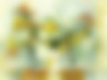 Fleurs (preview)