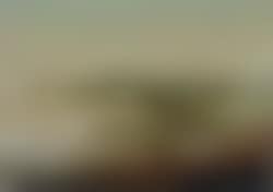 Landscape (preview)