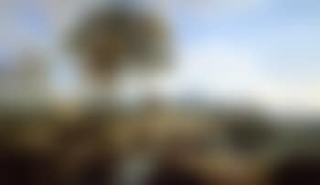 River landscape with arched stone bridge (preview)