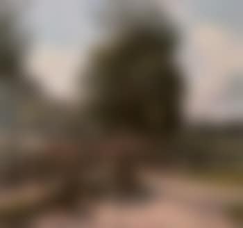 Marche a la Place de Plainpalais (preview)