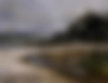 View from Balmoral (preview)