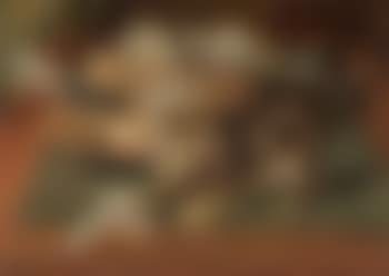 Artist's apprentice (preview)