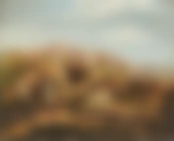 View of Bergamo (preview)