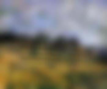 Paysage (preview)