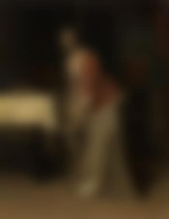 Elegant lady with her dog in an interior (preview)