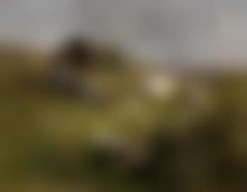 Young girl with a flock of turkeys (preview)