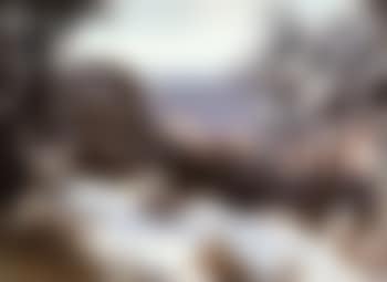 Winter day at the Grand Canyon (preview)