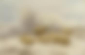 Sheep resting in the snow (preview)
