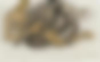 Lovers entwined (preview)