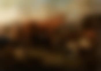 Bull with herds (preview)