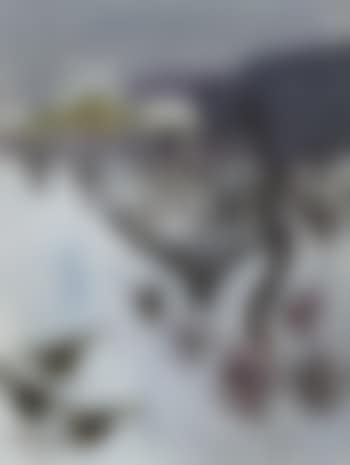 View through window (preview)