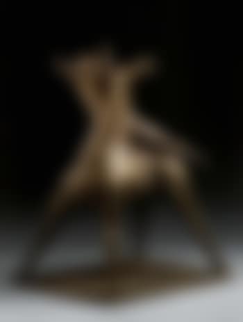 Rider (preview)