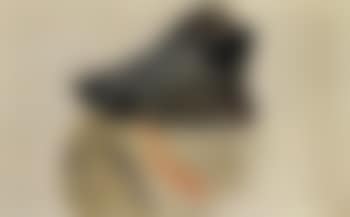 Hure de sanglier (preview)
