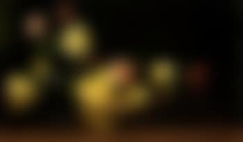 Yellow and pink roses (preview)