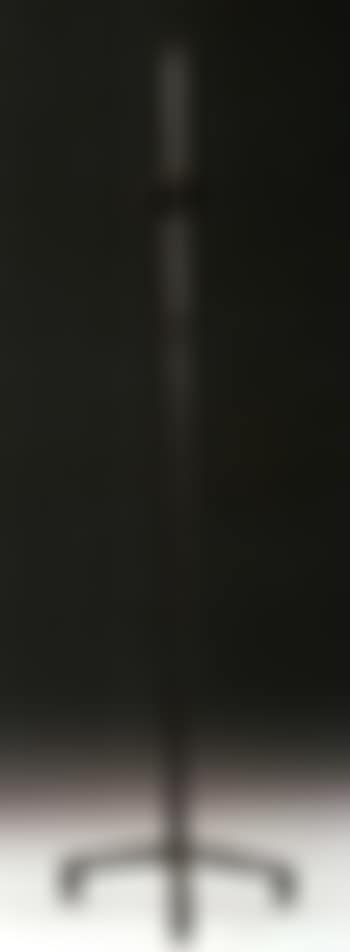 Lampadaire a l'etoile by Alberto Giacometti (preview)