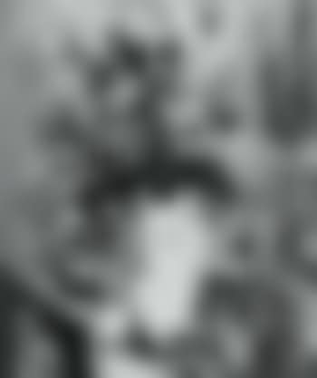 Still life (preview)
