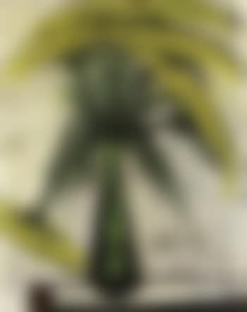 Ombelles jaunes (preview)