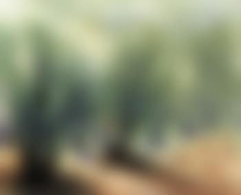 Harvest of Olives (preview)