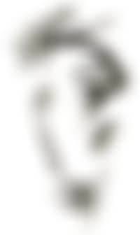 Les pavots (preview)