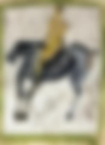 Cavallo e cavaliere (preview)