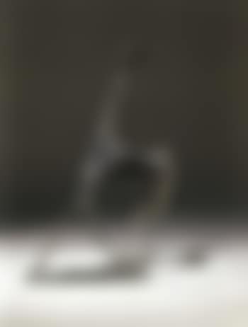 Cavallo filiforme (preview)