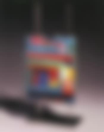 Testa del pittore (preview)