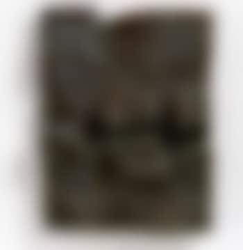 Relief (preview)