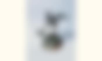 Poulette a patins a roulettes (preview)