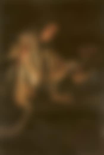 Penitent Magdalen (preview)