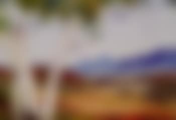 Alice Springs landscape (preview)
