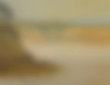 Beaumaris seascape (preview)